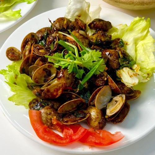 Clams 001