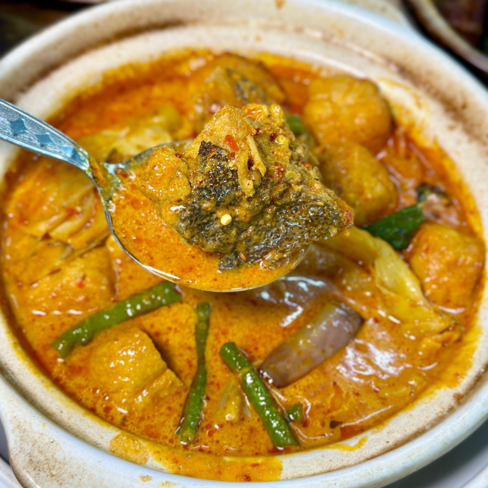 Curry 001 Curry 001