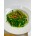 青菜系列 Vegetables Series